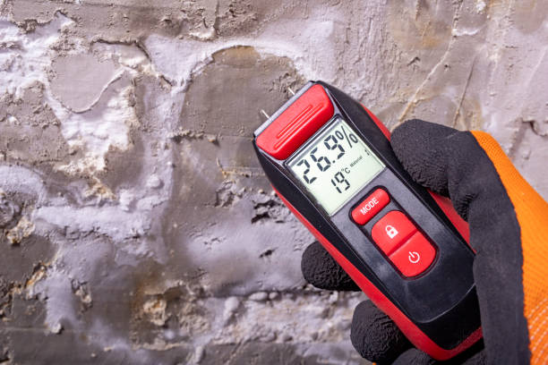 Office Mold Removal Services in Sand Lake, MI