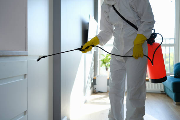 Best Residential Mold Removal  in Sand Lake, MI