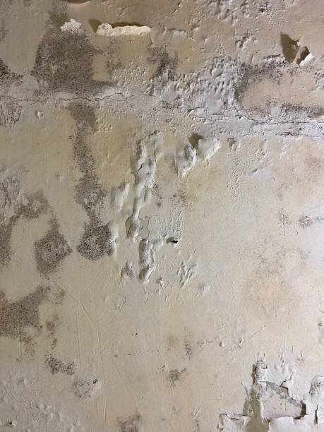Water Damage Restoration in Sand Lake, MI